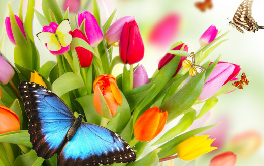 802183 (a): :2500x1563